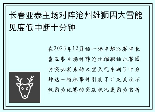 长春亚泰主场对阵沧州雄狮因大雪能见度低中断十分钟